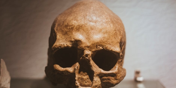 Esenyurt’ta Aile Faciası: 3 Kişi Evde Ölü Bulundu