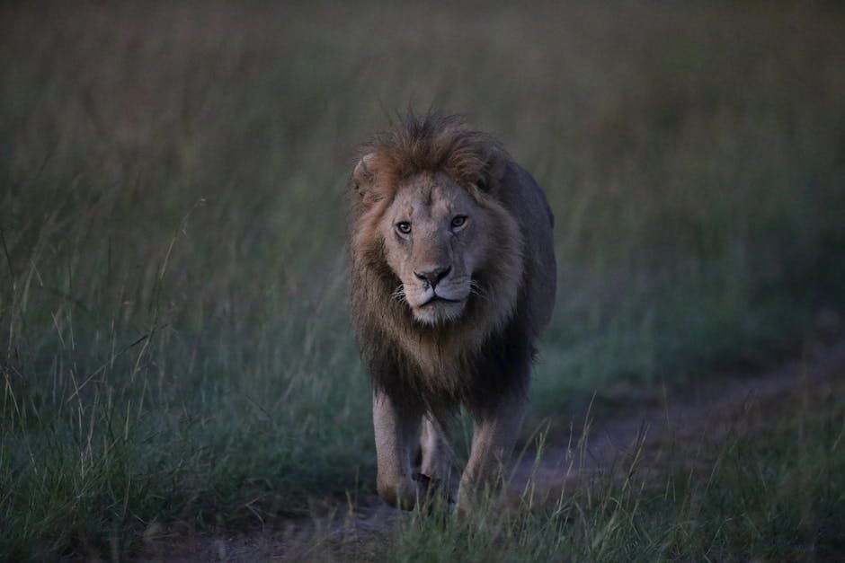 Nevsin-Mengu8217den-8216Adnan-Oktar8217in-kedicigi8217-iddiasina-sert-yanit-featured