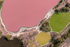 Meke-Golu-Copluge-Dondu-Essiz-Kus-Cenneti-Alarm-Veriyor-featured